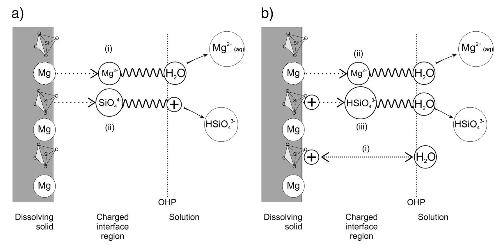 (PDF) The mechanism of dissolution of minerals in acidic and alkaline ...