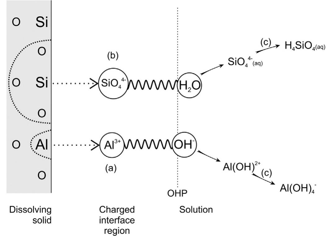 (PDF) The mechanism of dissolution of minerals in acidic and alkaline ...