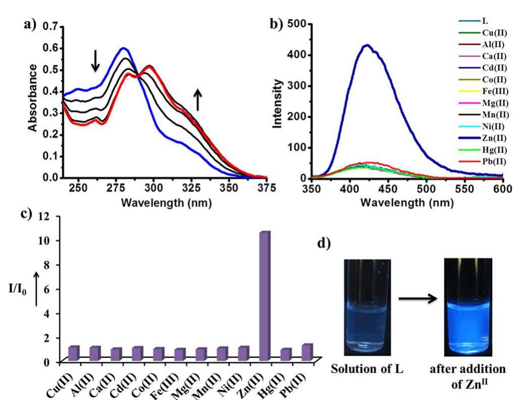 (a) change in absorption spectra of methanolic solution of l