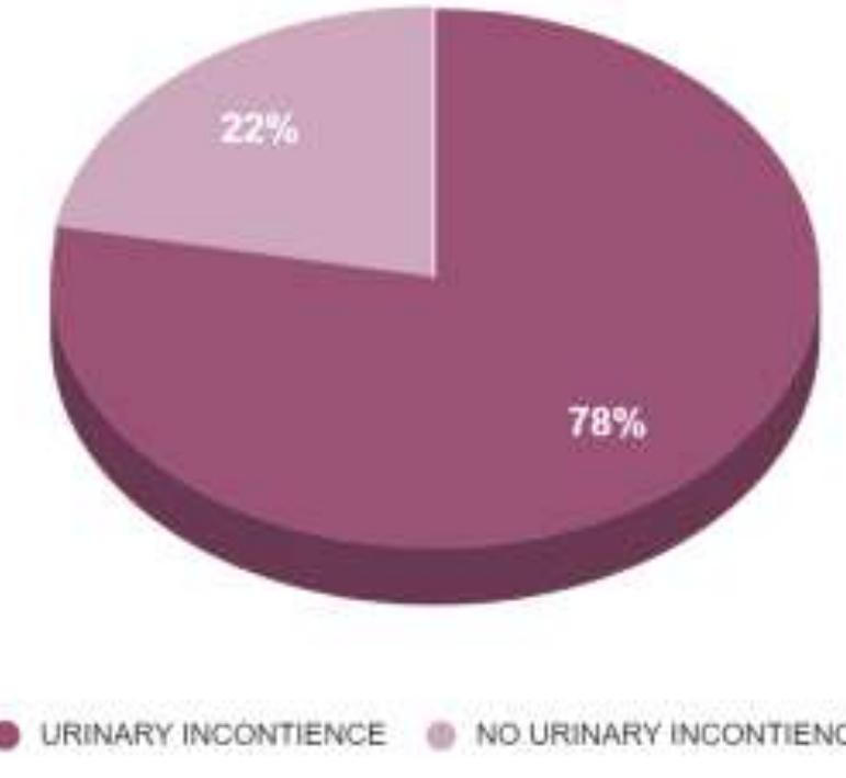 (PDF) Prevalence of Urinary Incontinence in Postpartum Women Across ...