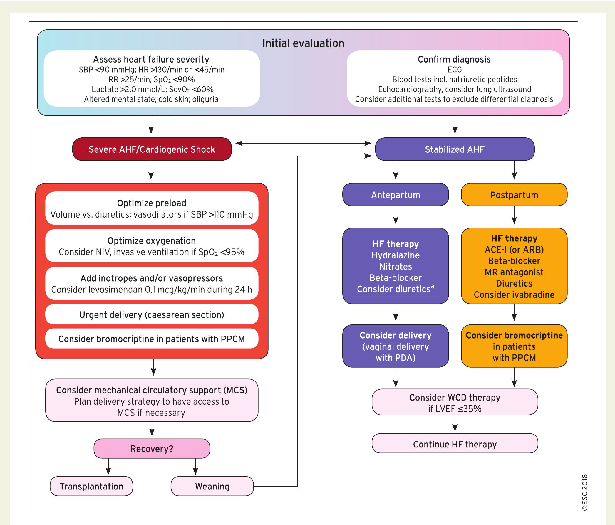 (PDF) 2018 ESC Guidelines for the management of cardiovascular diseases ...