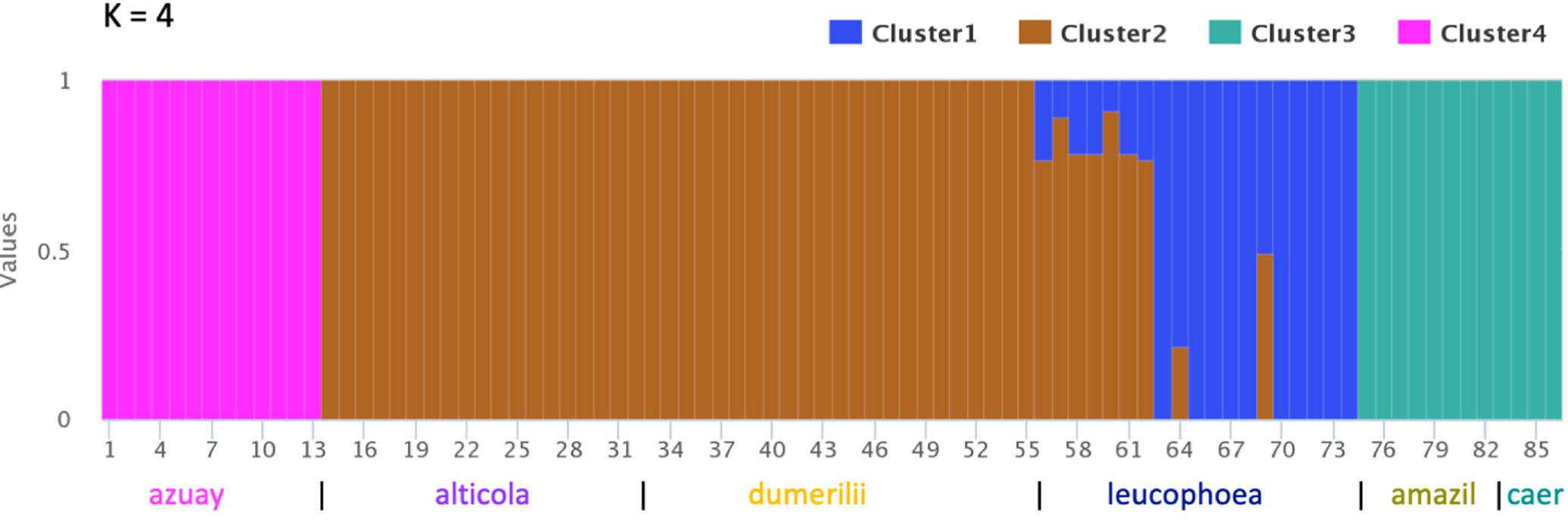Faststructure Matrix Faststructure plot for k = 4. k = 4 was the best-fit model