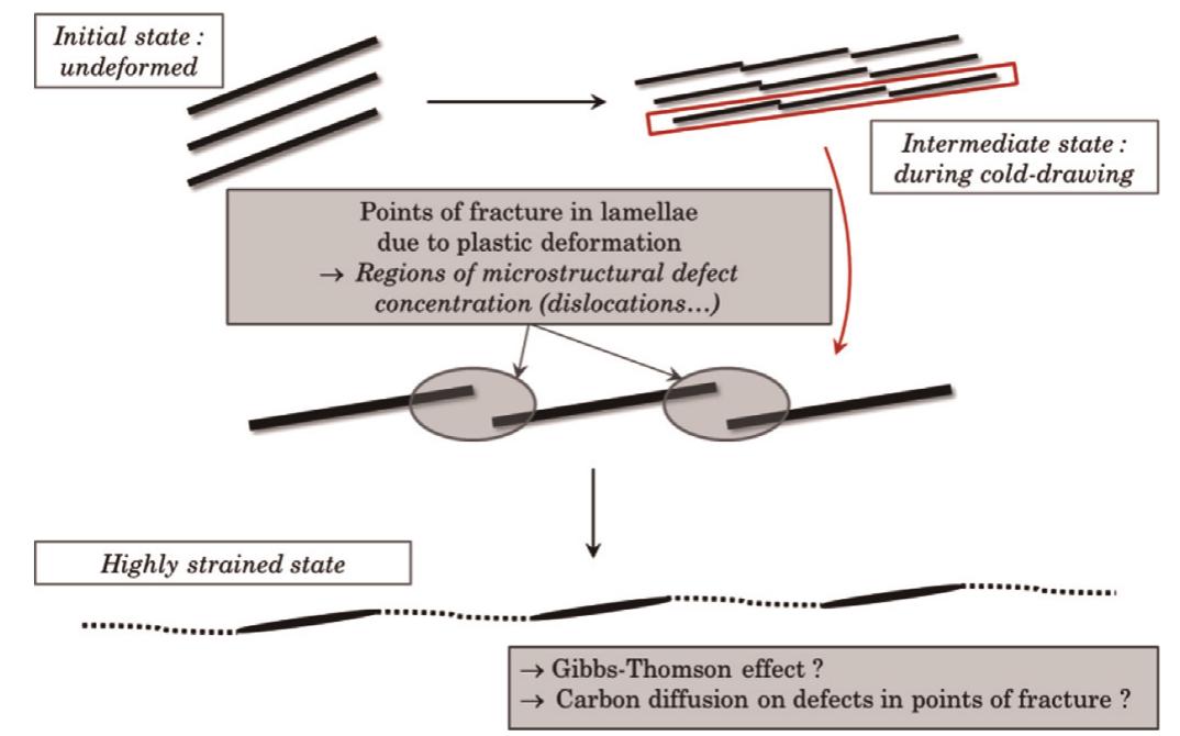 Schematic representation of the possible scenario