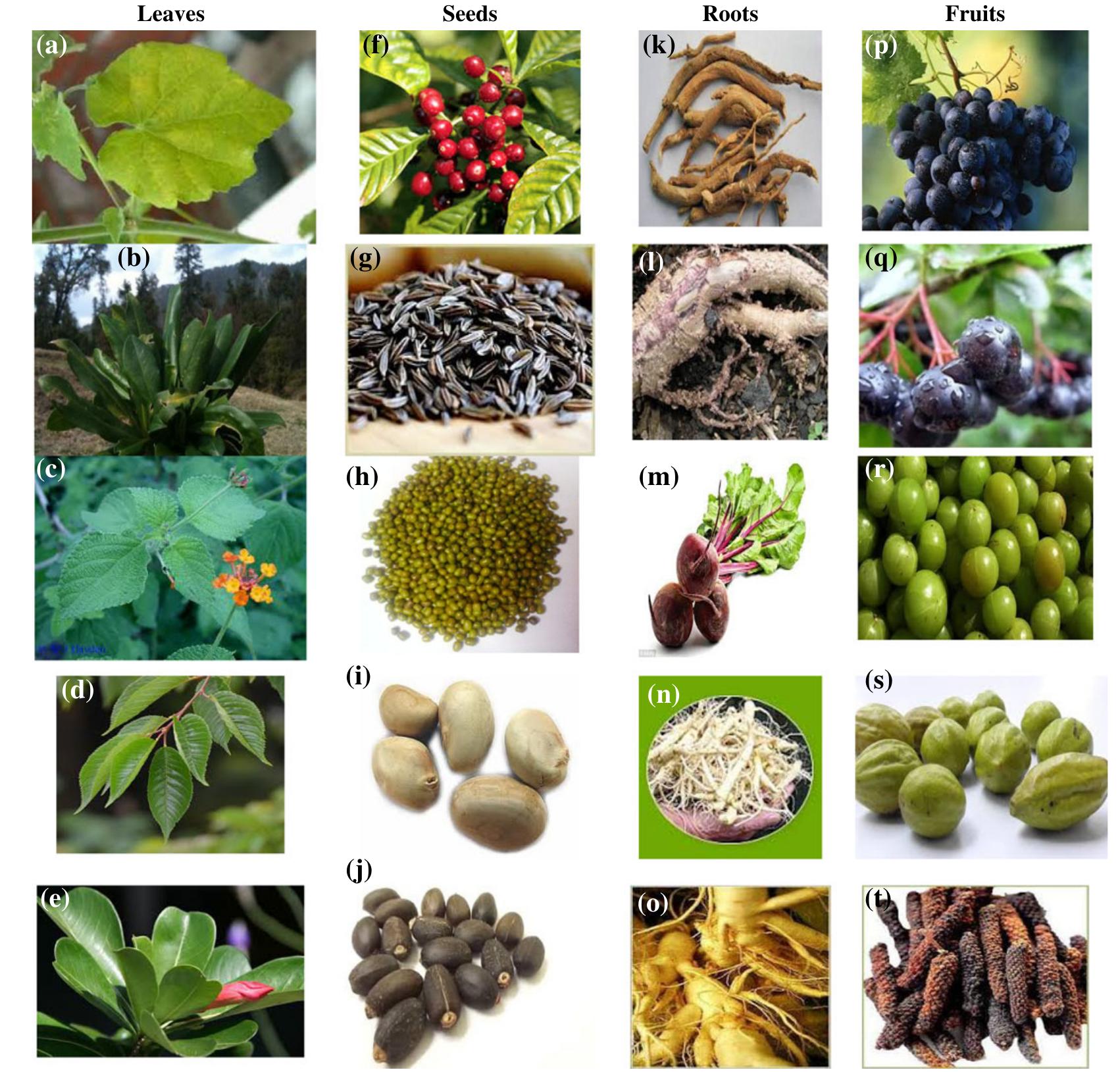 (PDF) A Review of Silver Nanoparticles: Research Trends, Global ...