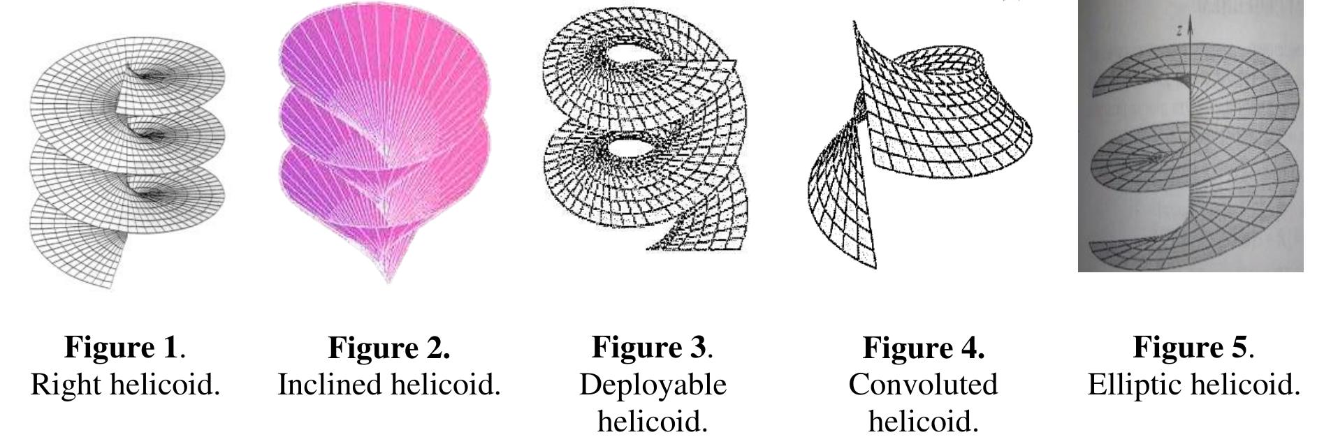 Helicoid Shell (PDF) A Review of Geometry Investigations of Helicoids