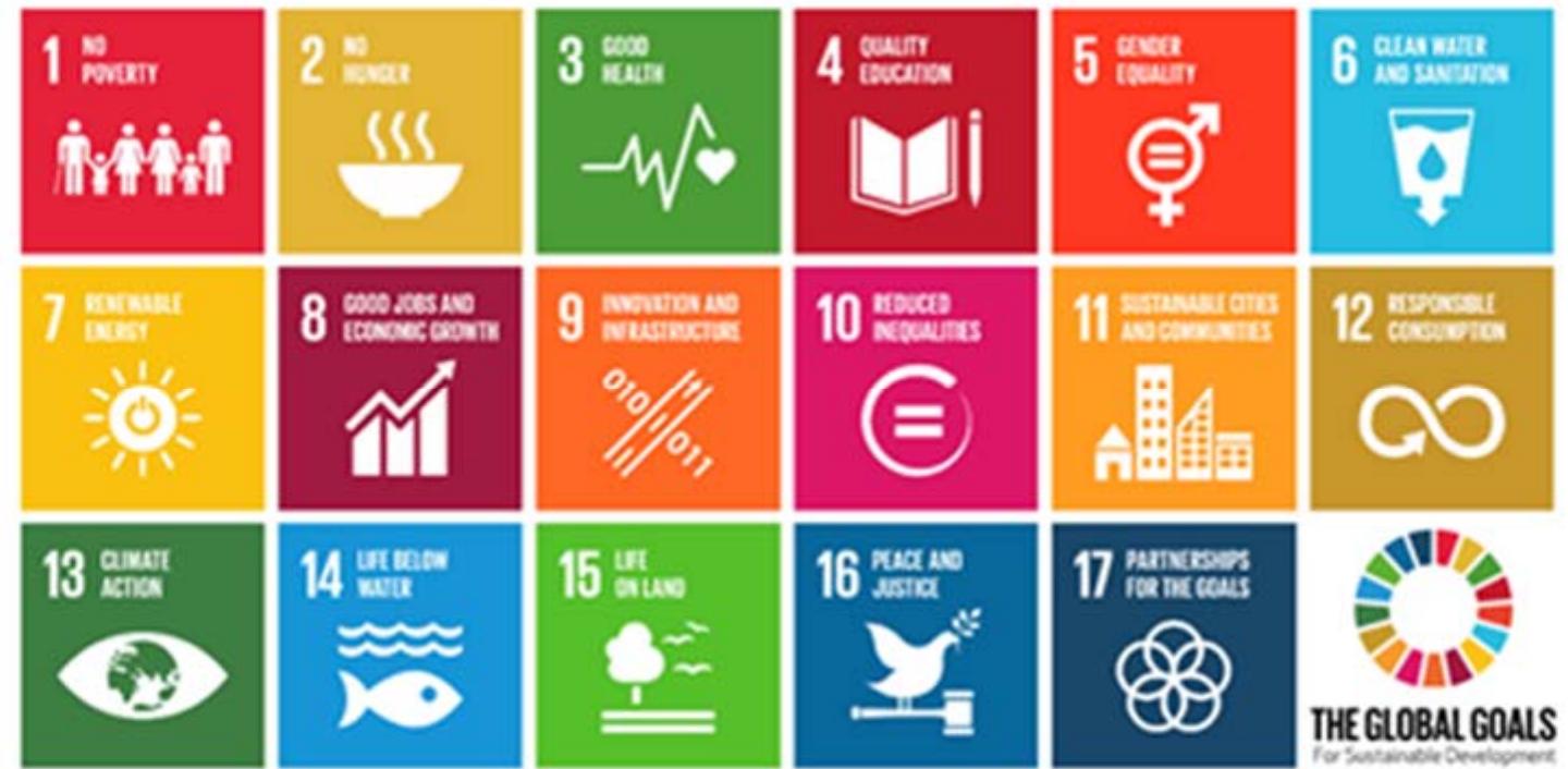 2 the seventeen sustainable development goals. in 2000 the
