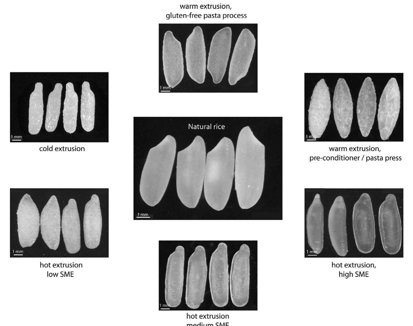 Schematic drawing of kernel microstructure of native and