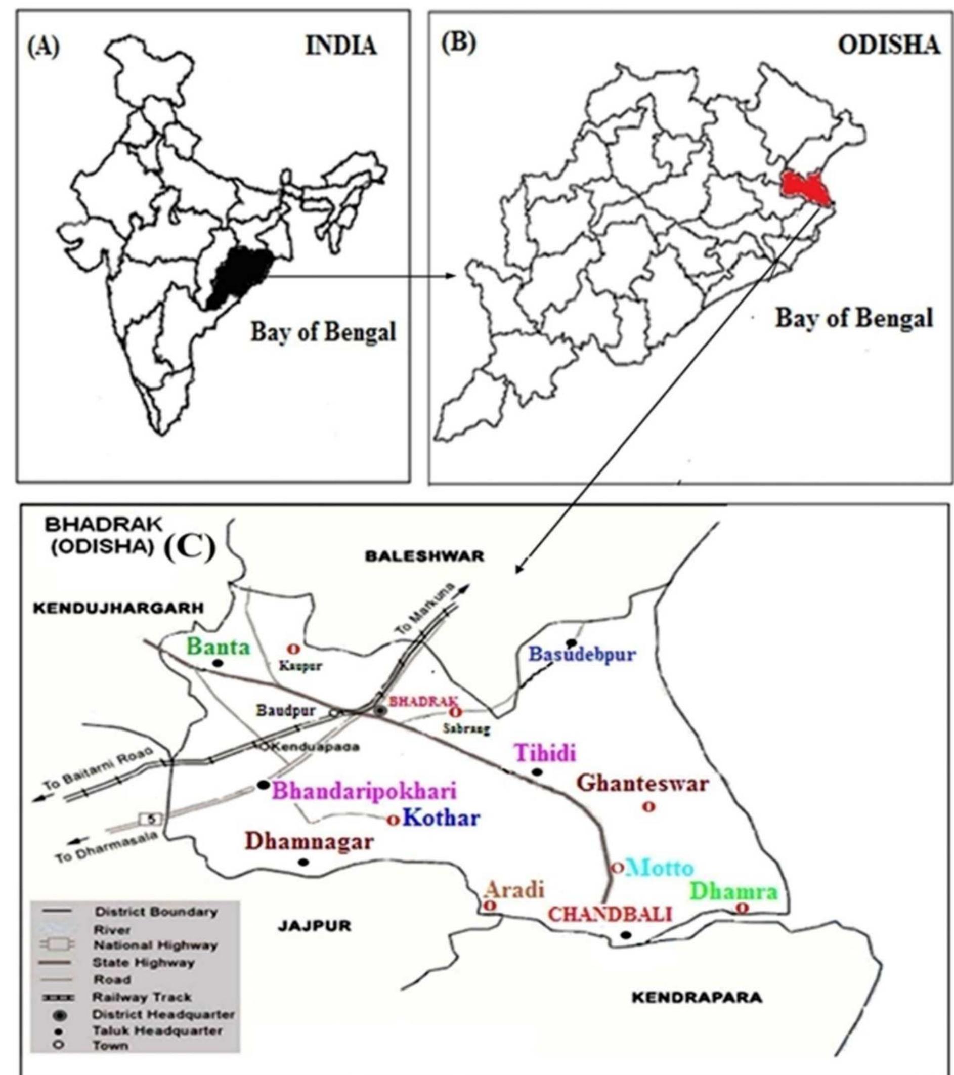 (PDF) Wild and cultivated plant collections from marketplaces of Odisha ...