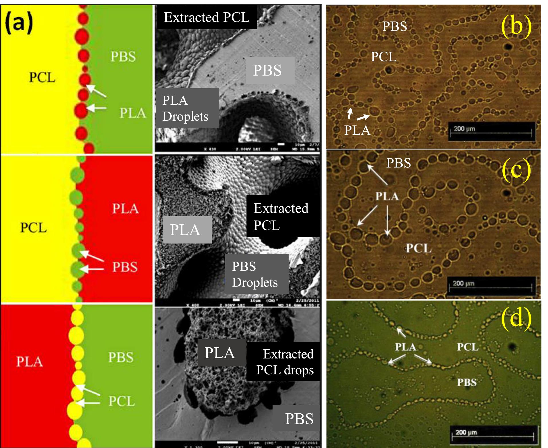 Pla Interaction (PDF) Poly (lactic acid) blends: Processing, properties and applications