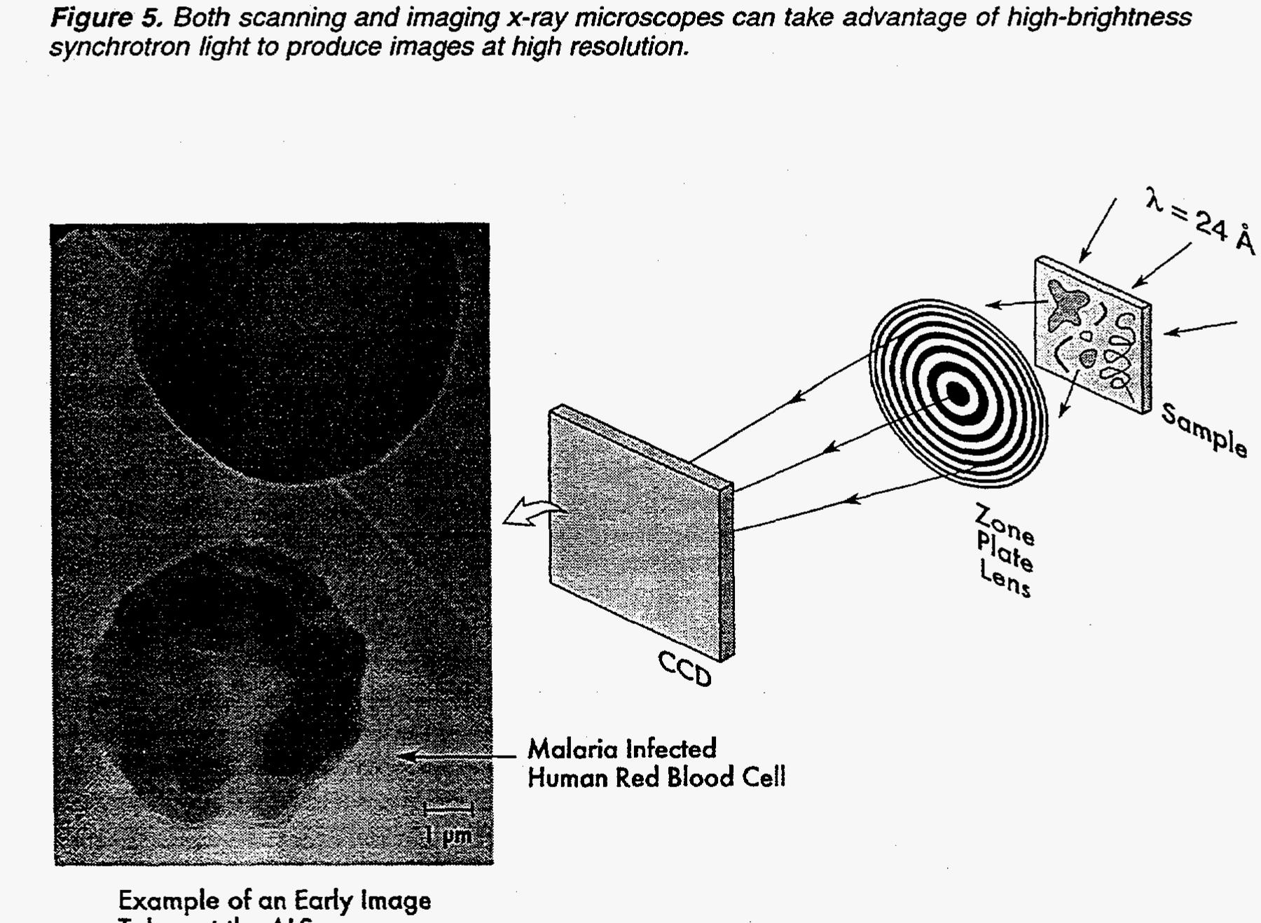 Figure 8 - Synchrotron light sources: A powerful tool for