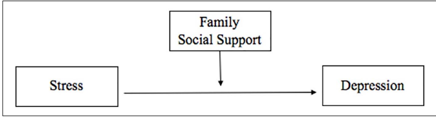 (PDF) The Impact of Family and Friends Social Support on Latino/a First ...