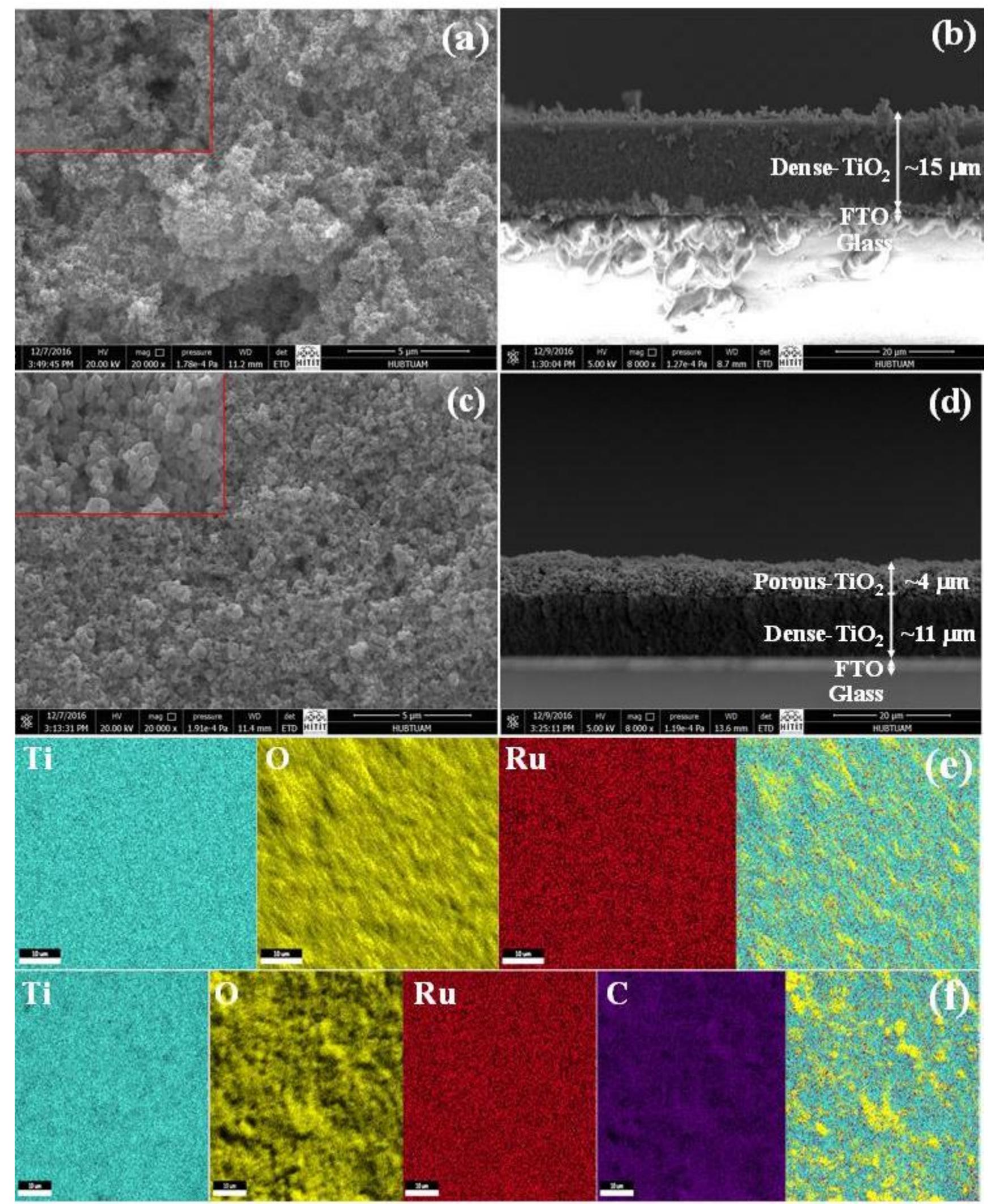Sem top view (left) and cross-section (right) images of bare
