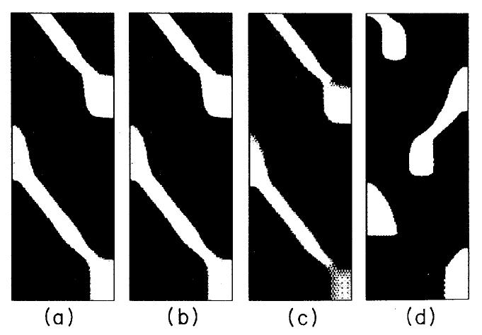 Schematic bifurcation diagram, showing the solu- tions that