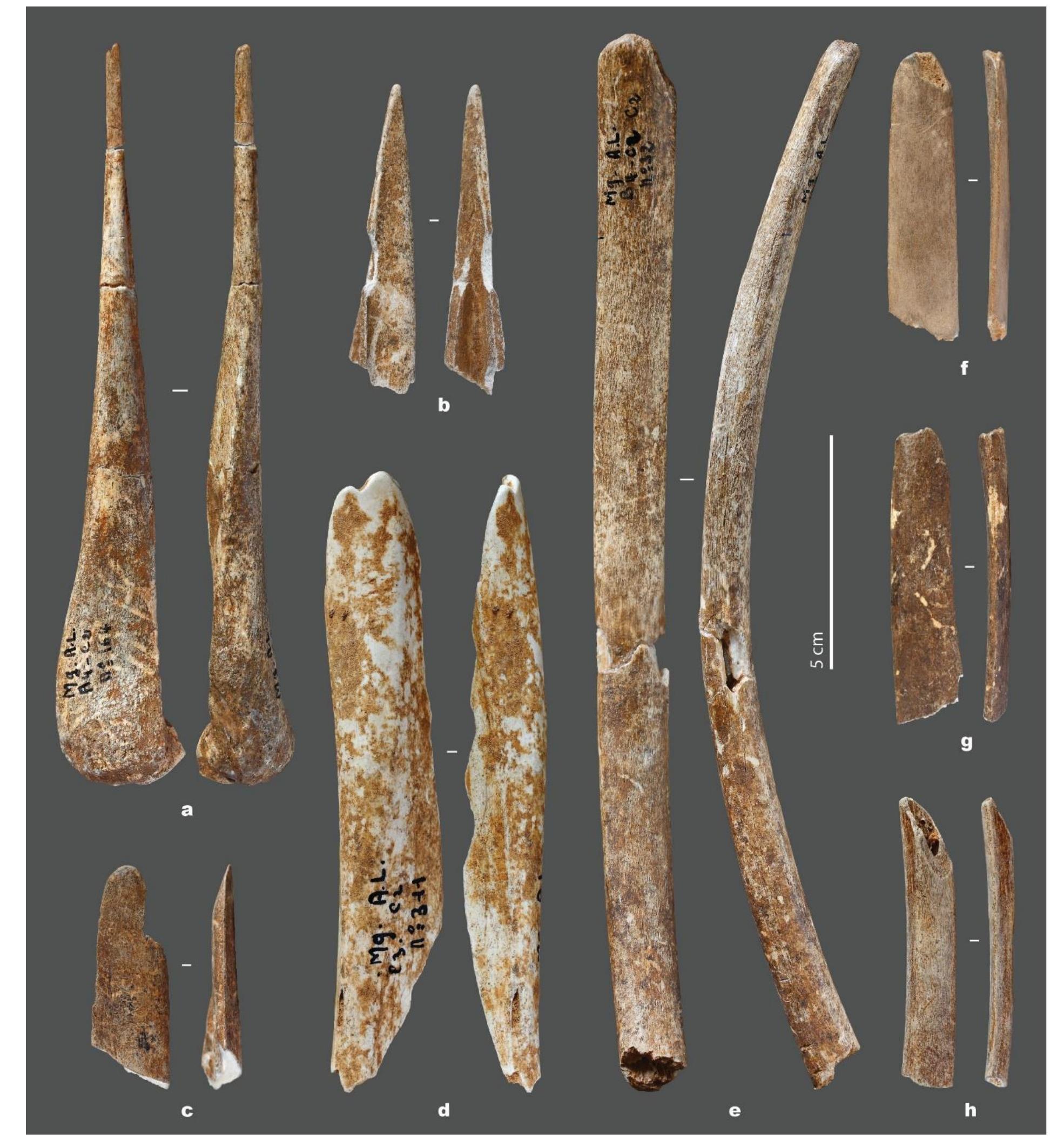 Neanderthal Shell Tools (PDF) Not so unusual Neanderthal bone tools: new examples from Abri ...