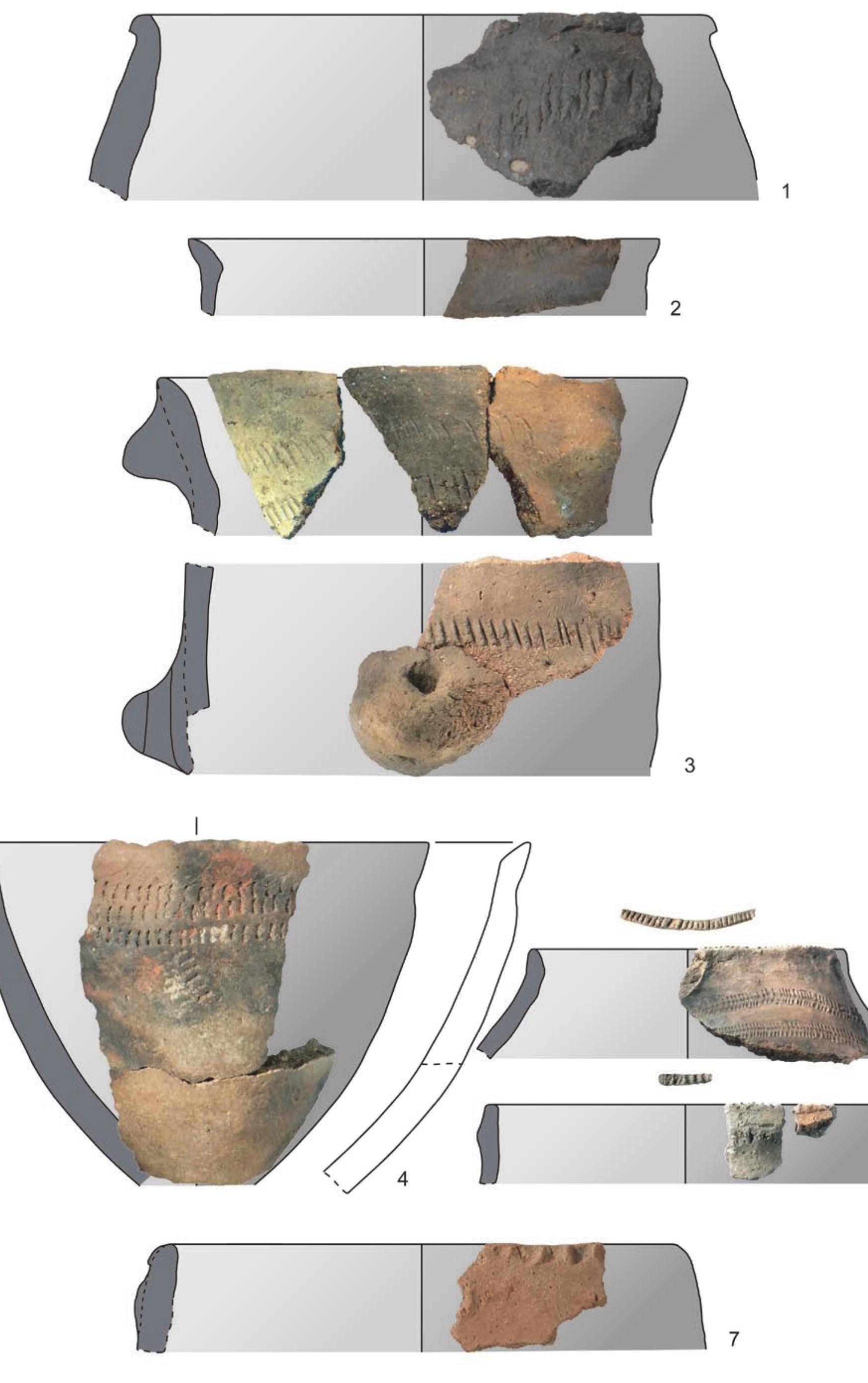 (PDF) The Early Neolithic Pottery of Ifri Oudadane, NE Morocco ...