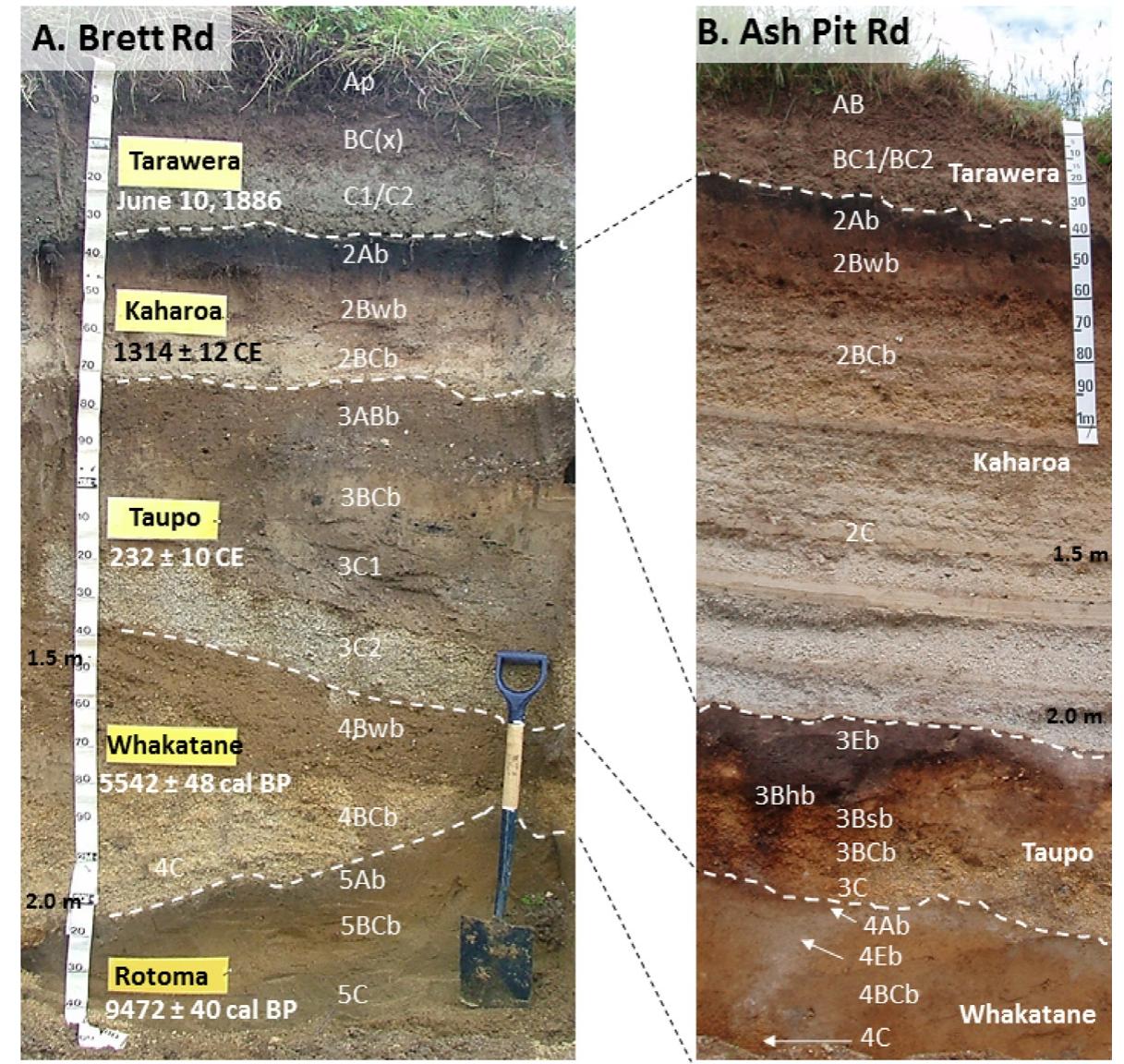 (PDF) Soil horizon variation: A review