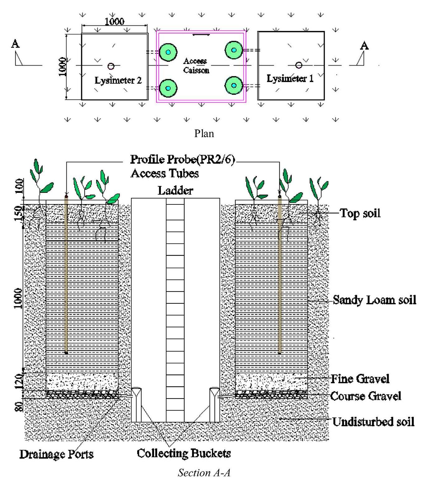 Deep Percolation System Figure 2 - from Study of deep percolation in paddy fields