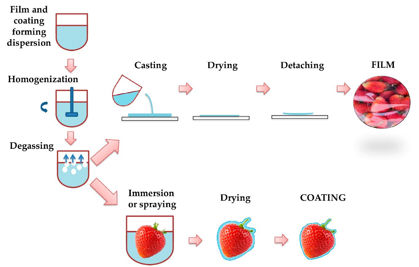 Figure 5 - from Progress in Fruit and Vegetable