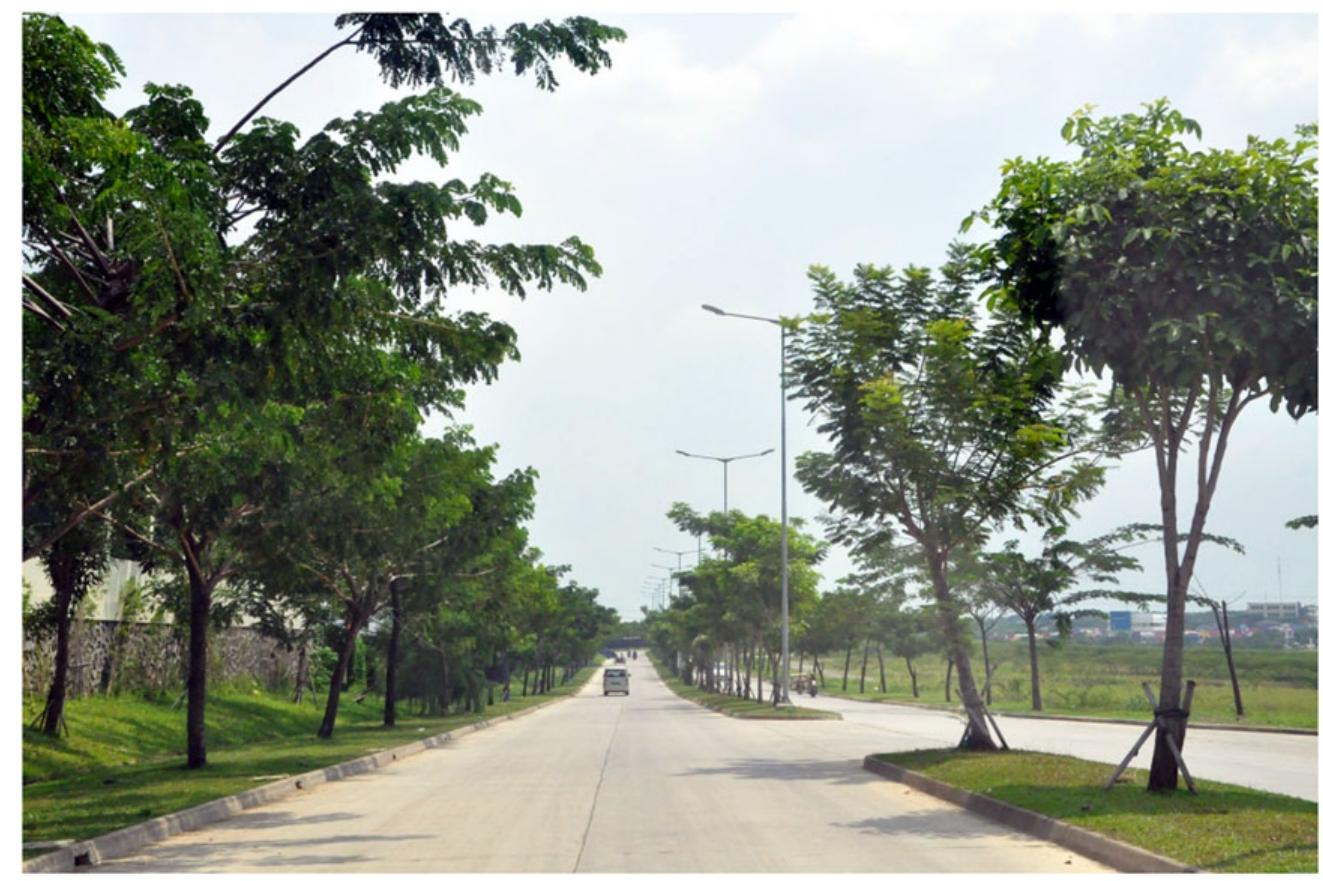 Figure 5. A connecting road built through public-private partnership in Cikarang Source: Photograph by author, 2013. 