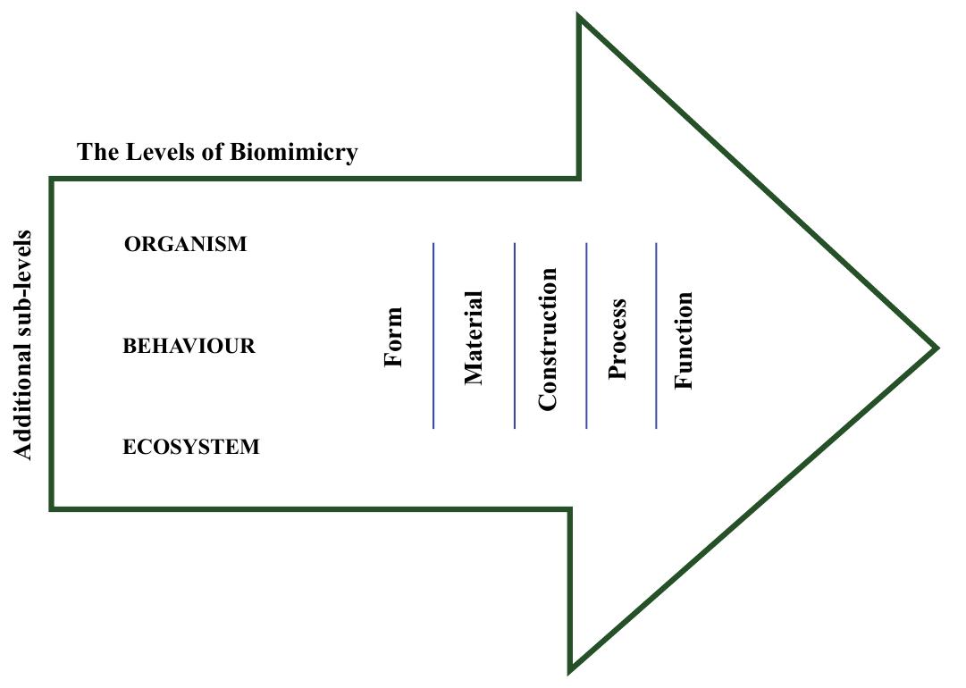 Figure 2. Three principal levels and five sub-levels of biomimicry for architectural design.  Within each of these three levels, five additional dimensions of imitation exist. Design can be mimetic for example in terms of what it looks like (what does the form serve for an organism to survive?), what it is made of (material composition), how it is made (construction process), how it works (performance) or what it does (function) [76]. These five sub-levels are proposed by Maibritt Pedersen Zari to better facilitate the transfer from biology, in particular to architectural design contexts (Figure 2).  The following presents examples for each level of existing biomimetic architecture case studies. 