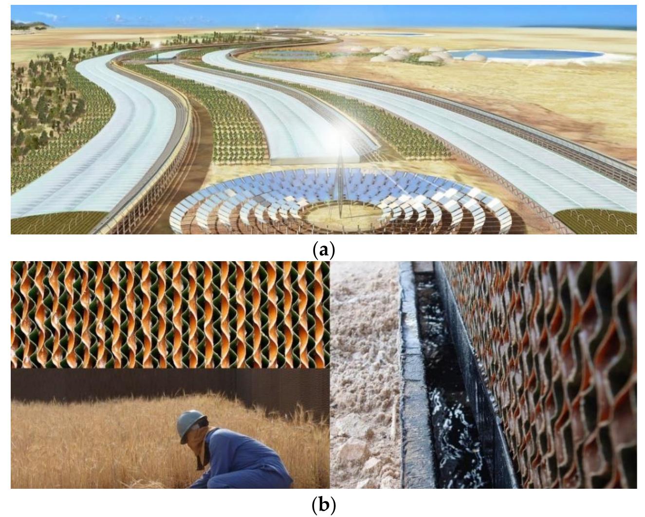 Figure 7. Sahara forest project inspired by natural ecosystem: (a) Sahara forest project in Tunisia; (b) Food, re-vegetation and salt water system. Images (a,b): reprinted with permission from ref. [100]. Copyright 2020 © Exploration Architecture. 
