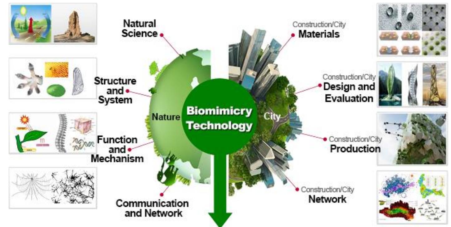 Figure 10. Similar contexts and scales of transfer from nature to architecture: at material scales, at building structure and system scale, at building function and production (performance) scales and at network and infrastructure scales.  Figure 10. Similar contexts and scales of transfer from nature to architecture: at material scales, at  Moreover, scalability is one of the most challenging issues in biomimetic design. n [114], the authors describe the problem of scaling biological principles to design artefacts and specify that sometimes the transfer of a biological system in nano- or micro scale is not always possible because biological structures lose their functionality when applied to dif- ferent scale dimensions. In particular, in the architecture and construction domains, where most of design and applications deal at large scales; however, the transfer of functiona strategies can be carried out if the rules of similarity are respected in other scales [115]. To be able to achieve the analogical transfer from the natural world to architectural world some similar contexts and scales can be compared and observed divided in four categoriza- tions: at material scales, at building structure and system scales, at building function and production (performance) scales and at network and infrastructure scales (Figure 10).  