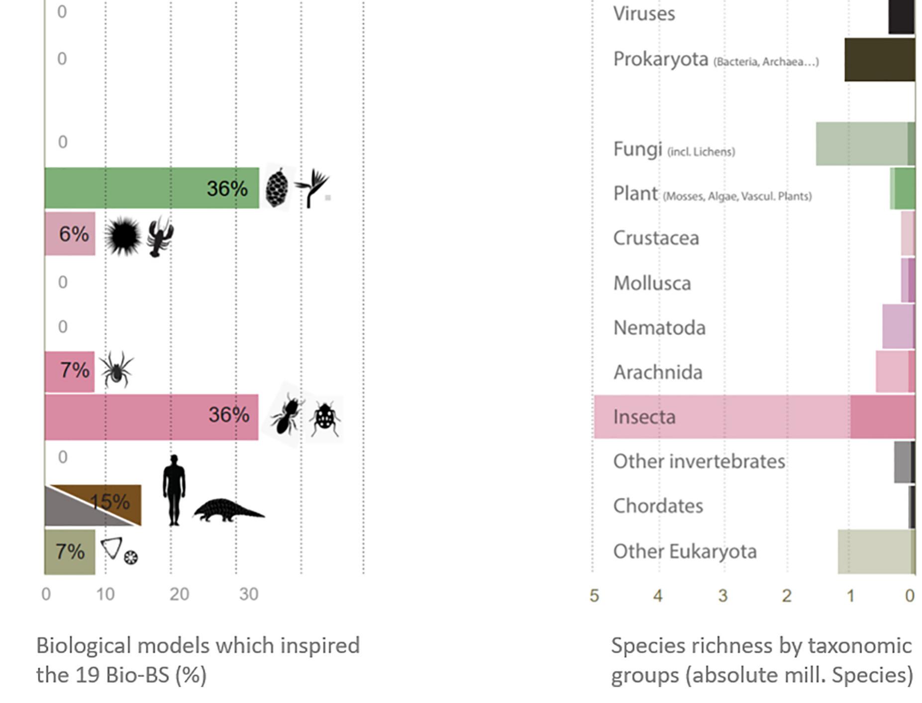 Fig. 6. Distribution of the major groups of biological models which inspired the 19 Bio-BS according to the distribution of estimated species on earth (absolute number o species on the left (grey = estimated number of yet to be described species, black = already described). This figure uses the same colour code as Fig. 5. Reproduced and adaptec from [113]. Credits: CC-BY-SA Estelle Cruz 