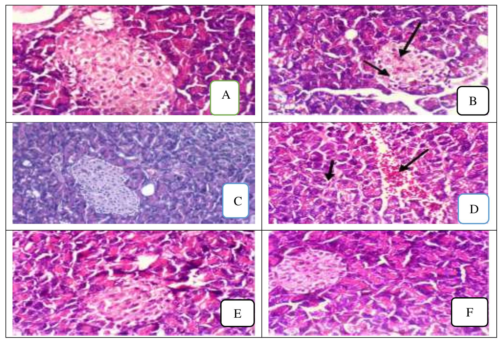Carob Rats (PDF) Effect of Carob, Doum, and Cinnamon Powder on Blood Lipid Profile ...