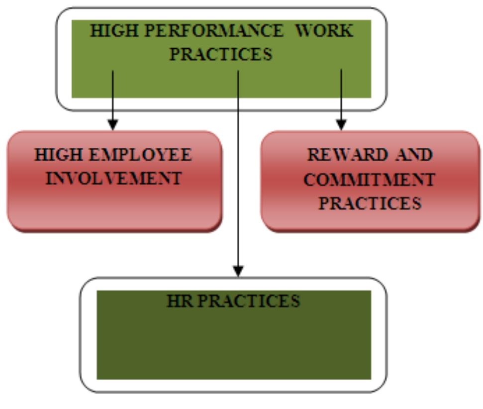 (PDF) High Performance Work Practices: One best-way or no best-way