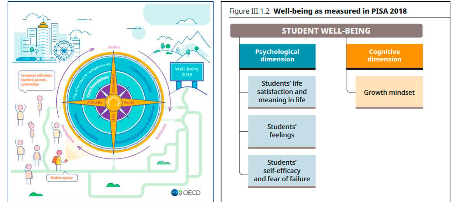 Learning Compass Visual A (left) — oecd’s visual representation of the learning