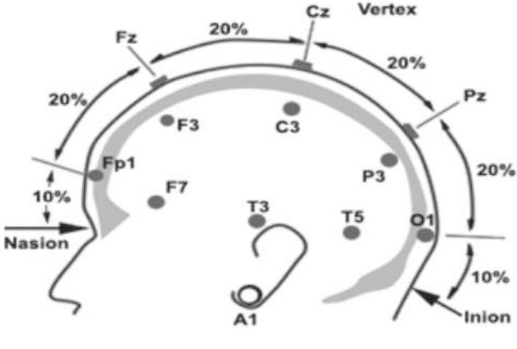 Figure 1 - from A Review on "Ocular Artifacts in Eeg and