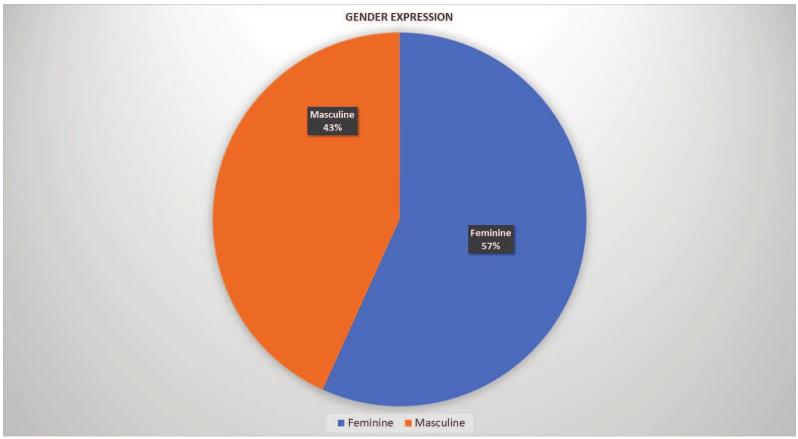 Figure 4. Gender expression of LGBTIQ+ characters  Source: Own elaboration. 