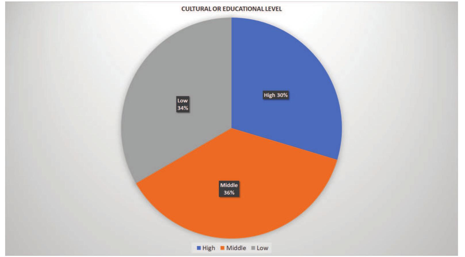 Source: Own elaboration.  Figure 6. Socio-cultural level of LGTBIQ+ characters 