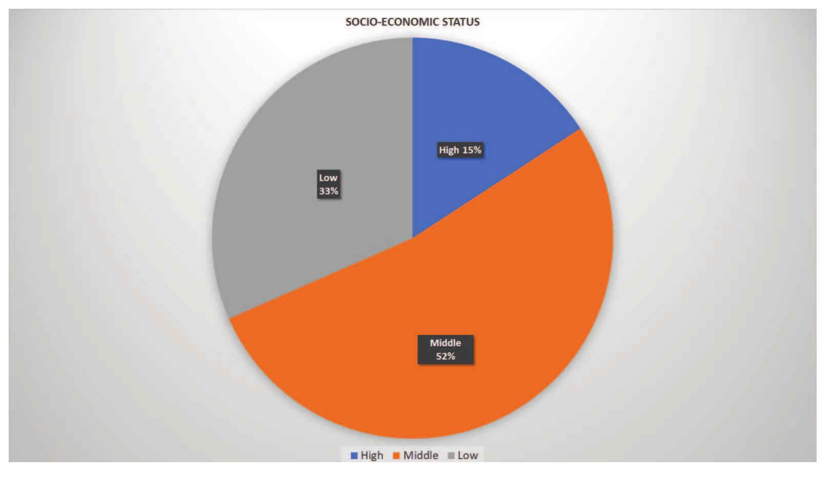 Figure 5. Socio-economic level of LGTBIQ+ characters  Source: Own elaboration. 