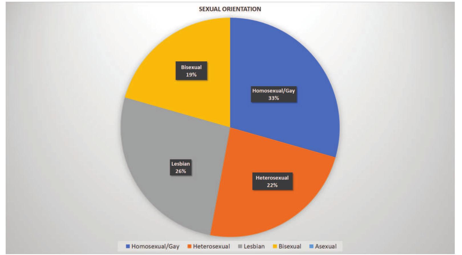 Source: Own elaboration.  Figure 14. Sexual orientation of LGTBIQ+ characters 