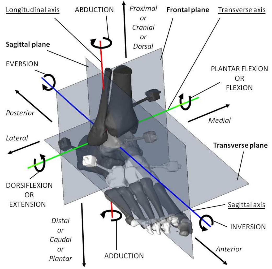 Figure 12 - from Development of a robust myoelectric control