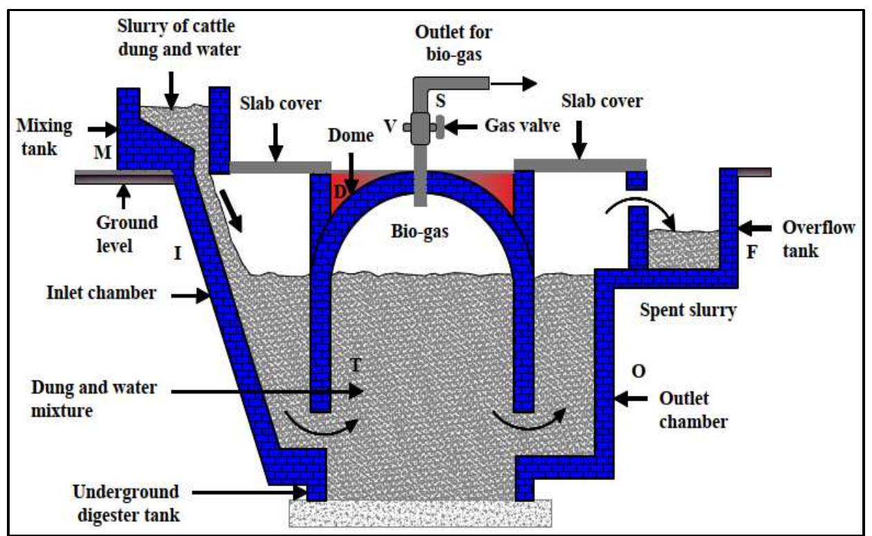 Digester layout of the biogas plant [9]. the digester is