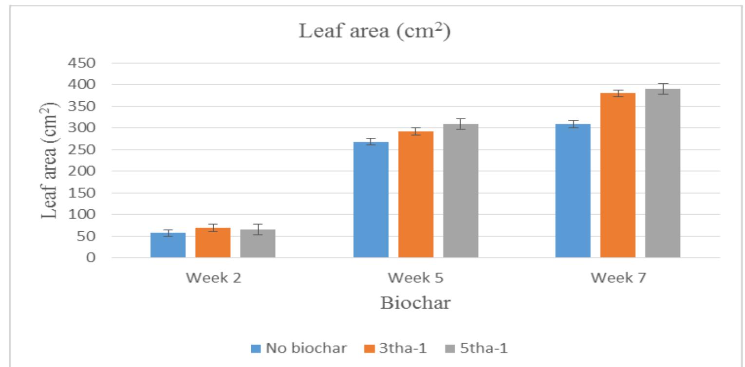 Figure 6 - from The Effect of Biochar and Trichoderma