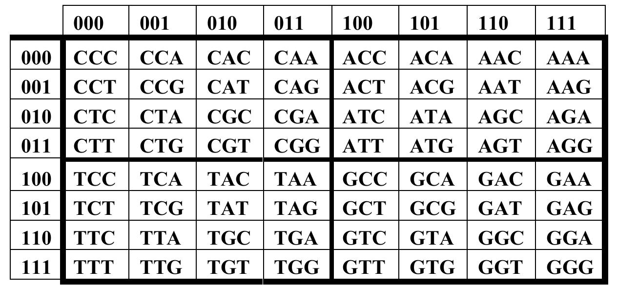 (PDF) Symmetries of DNA alphabets and quantum informational formalisms