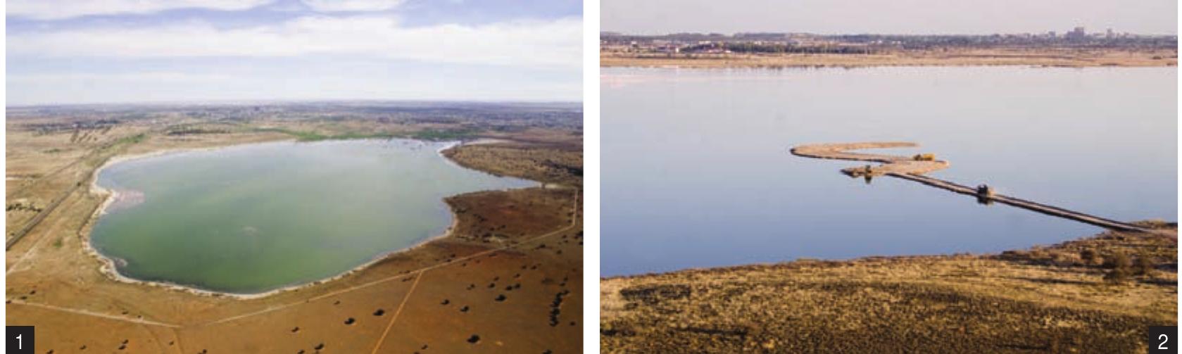 (PDF) A breeding island for Lesser Flamingos Phoeniconaias minor at ...