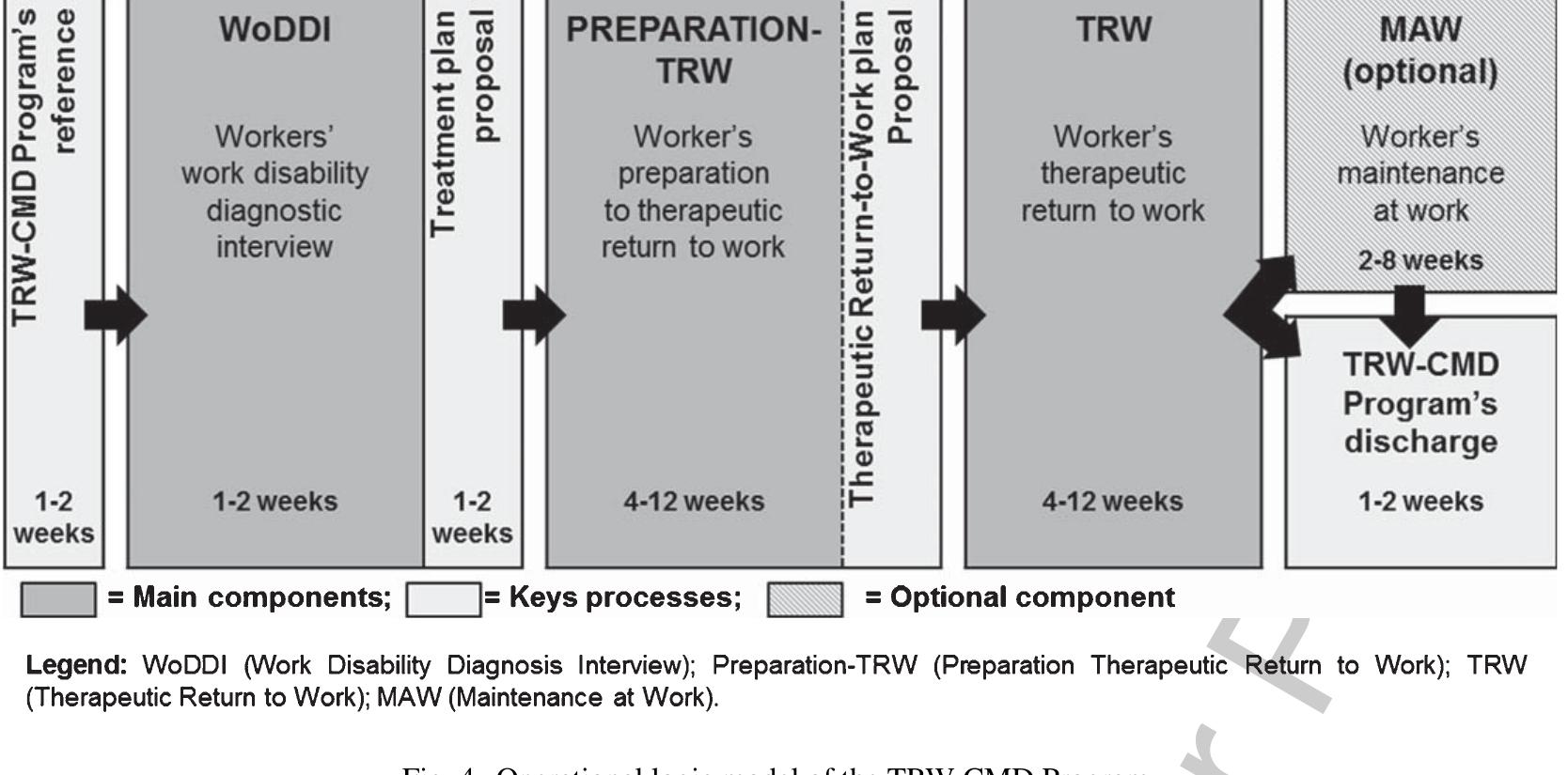 (PDF) Logic models for the Therapeutic Return-to-Work Program as ...
