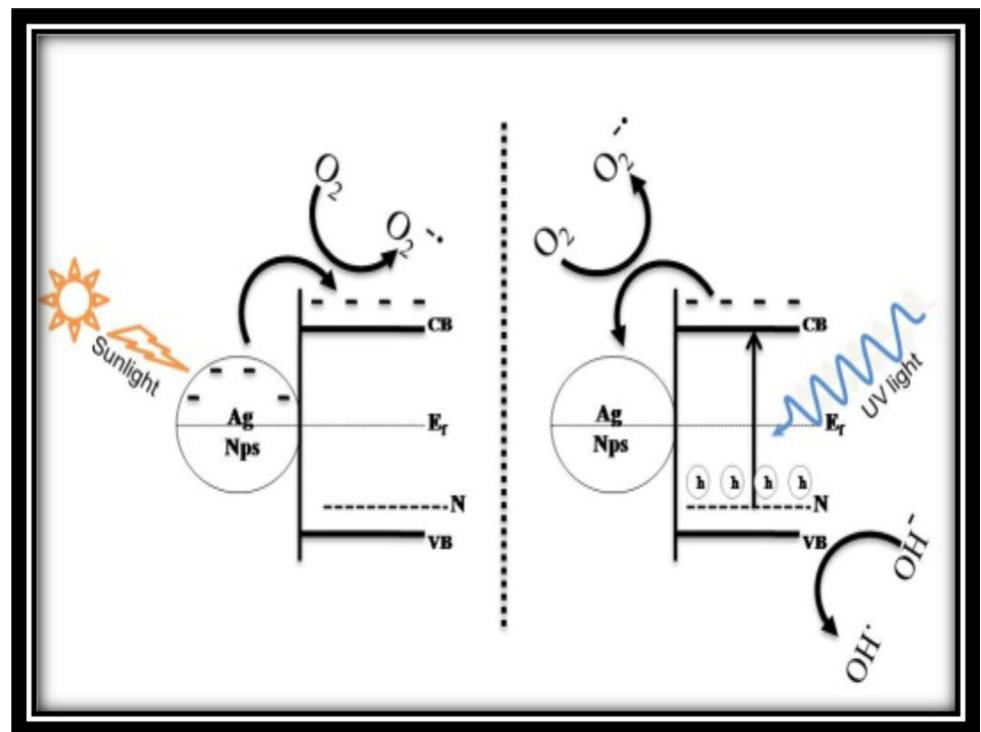 Fig. 12 Probable degradation mechanism in sunlight and UV light Fig. 11 Catalyst loading of N-TiO, Ag nanocomposites. a 3d graph methyl orange degradation. b In(C/CO) versus time