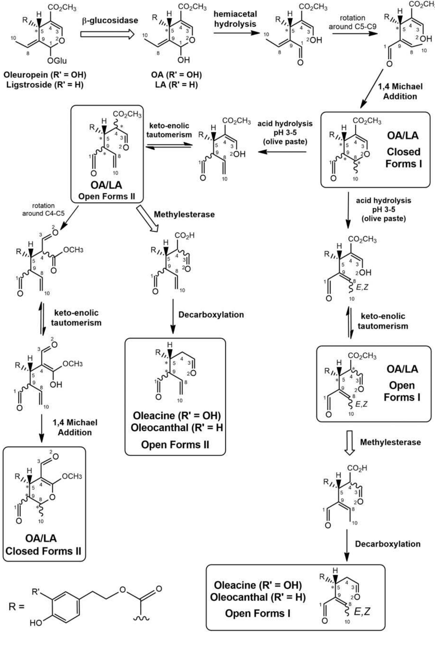 (PDF) Structural characterization of the ligstroside aglycone isoforms ...