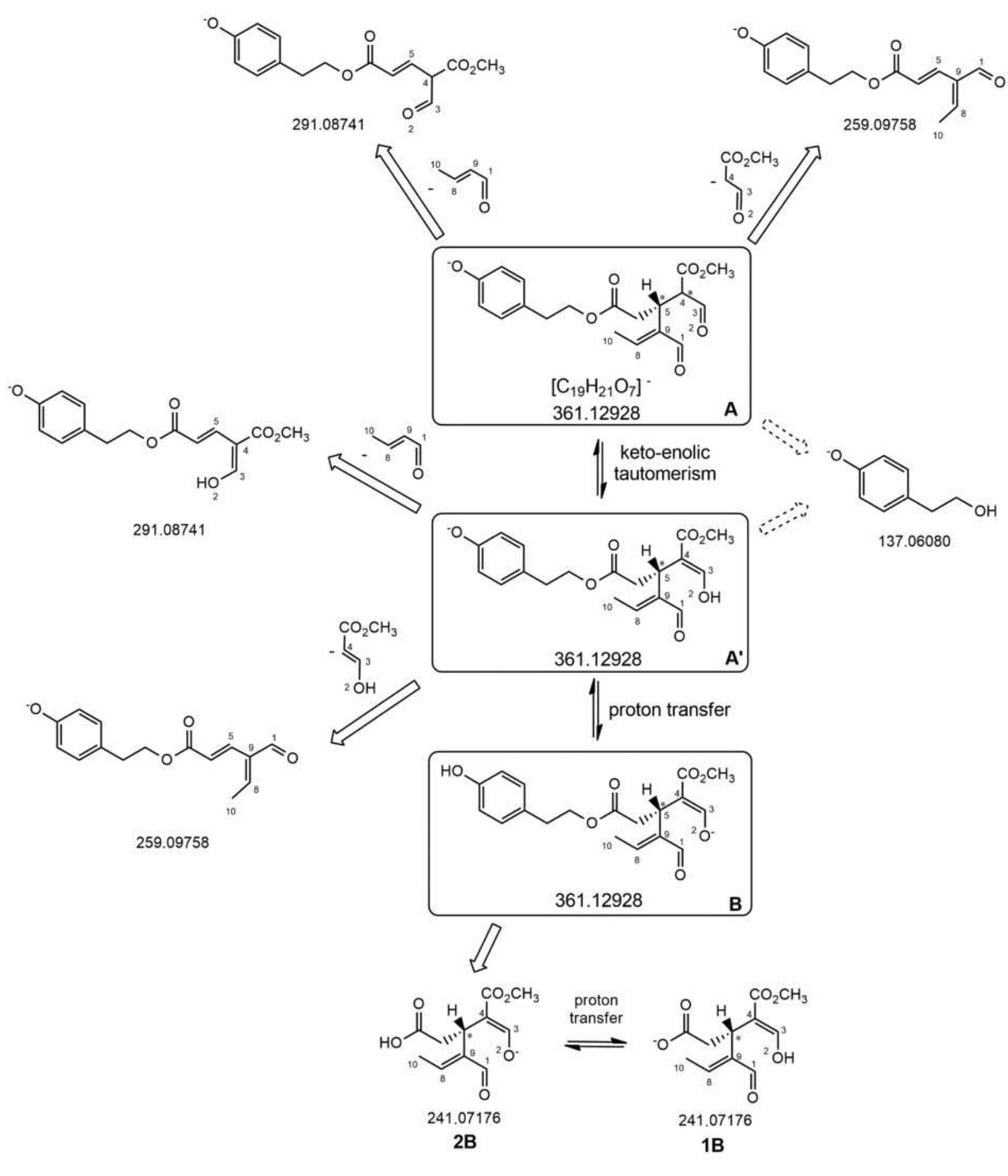 (PDF) Structural characterization of the ligstroside aglycone isoforms ...
