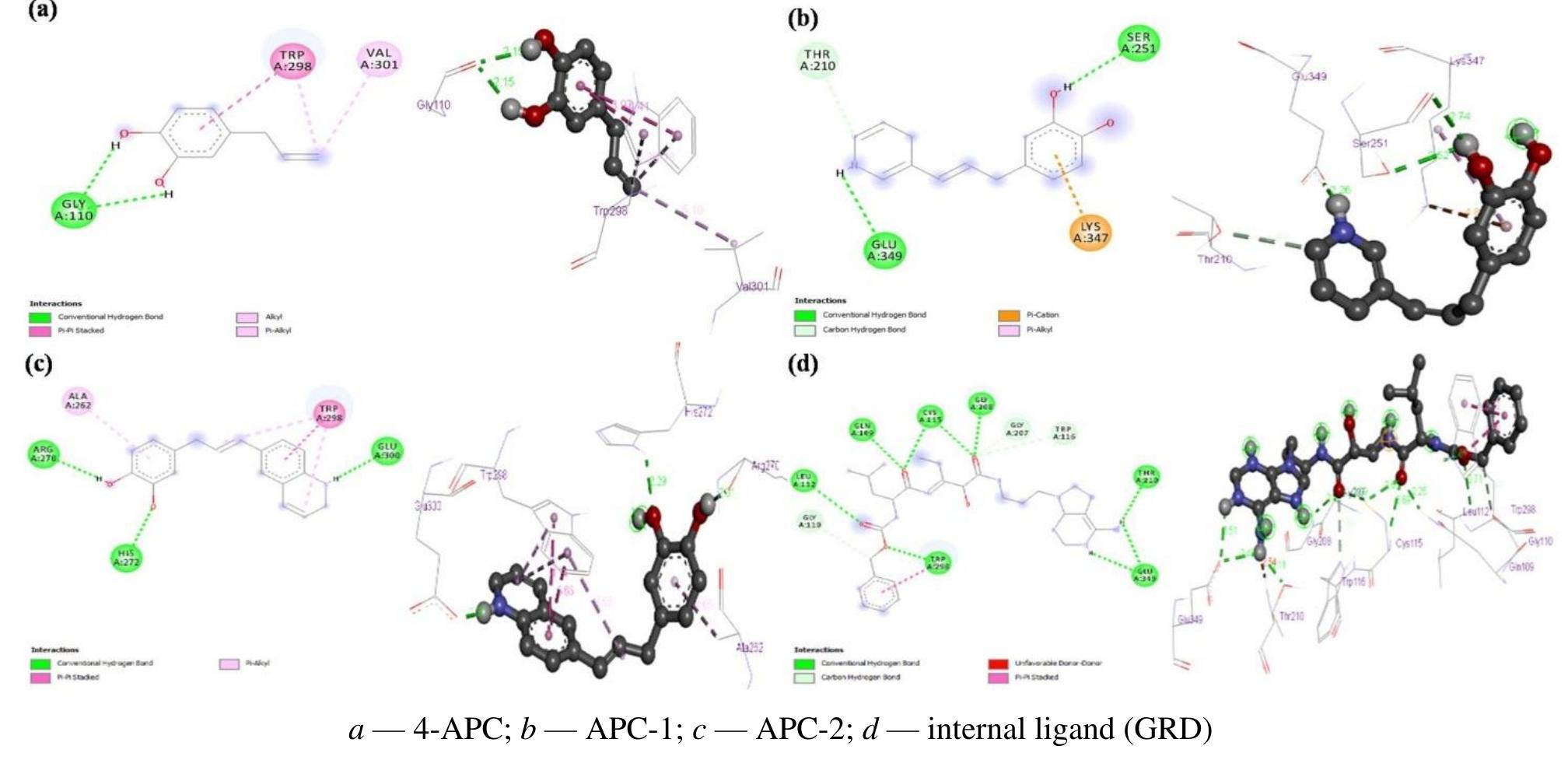 Binding poses (3d) and interaction diagrams (2d) of