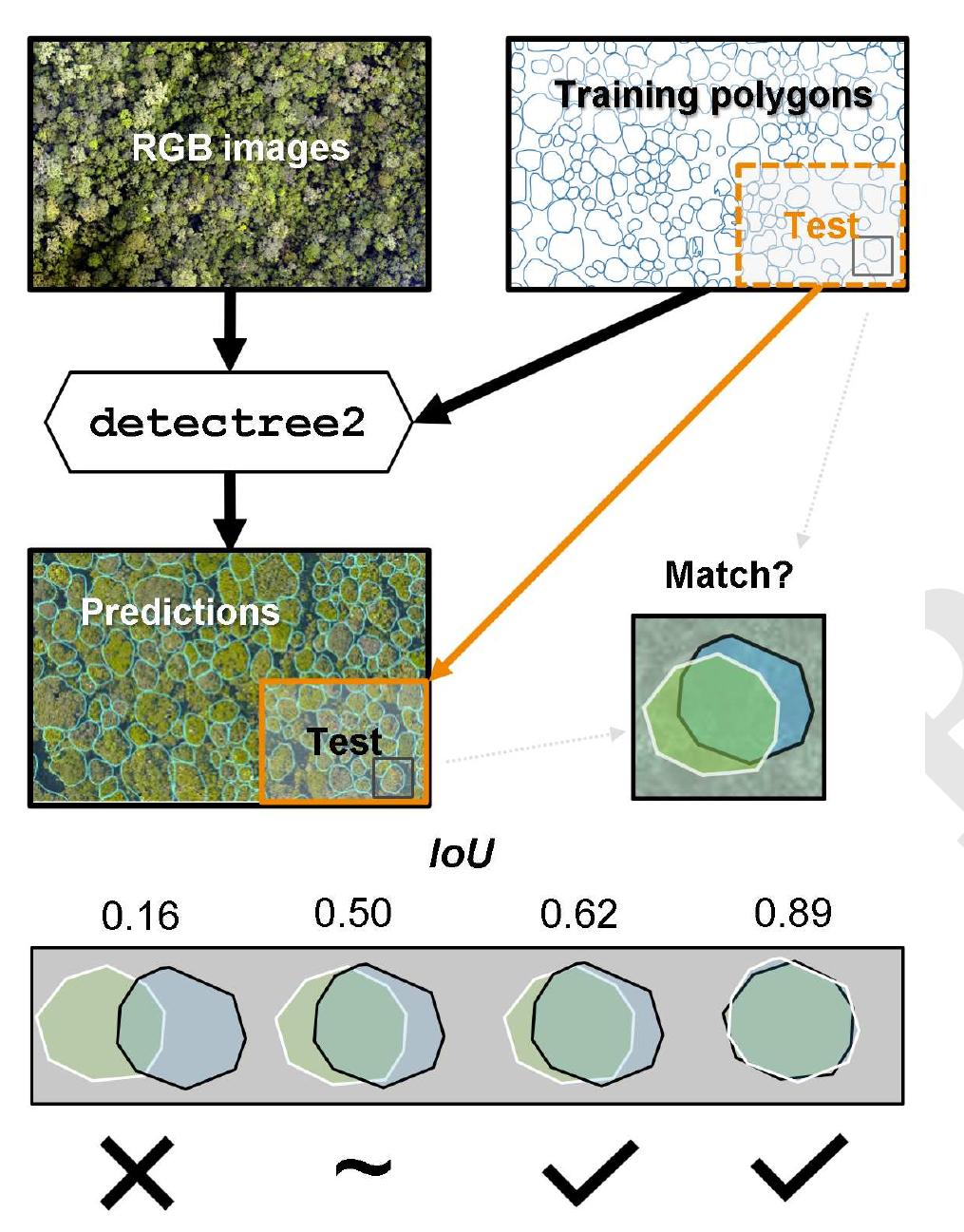 (PDF) Accurate delineation of individual tree crowns in tropical ...