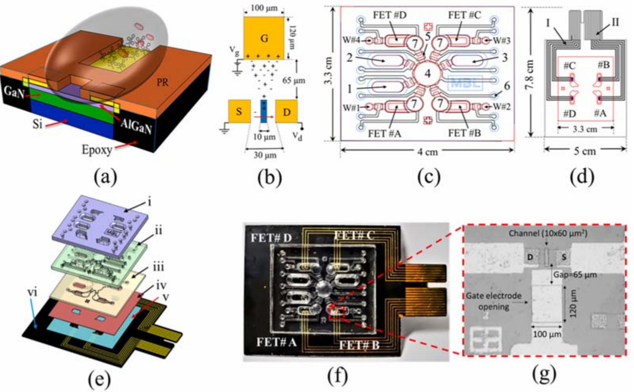 Integrated Sensor Layout (PDF) The Integration of Field Effect Transistors to Microfluidic Devices