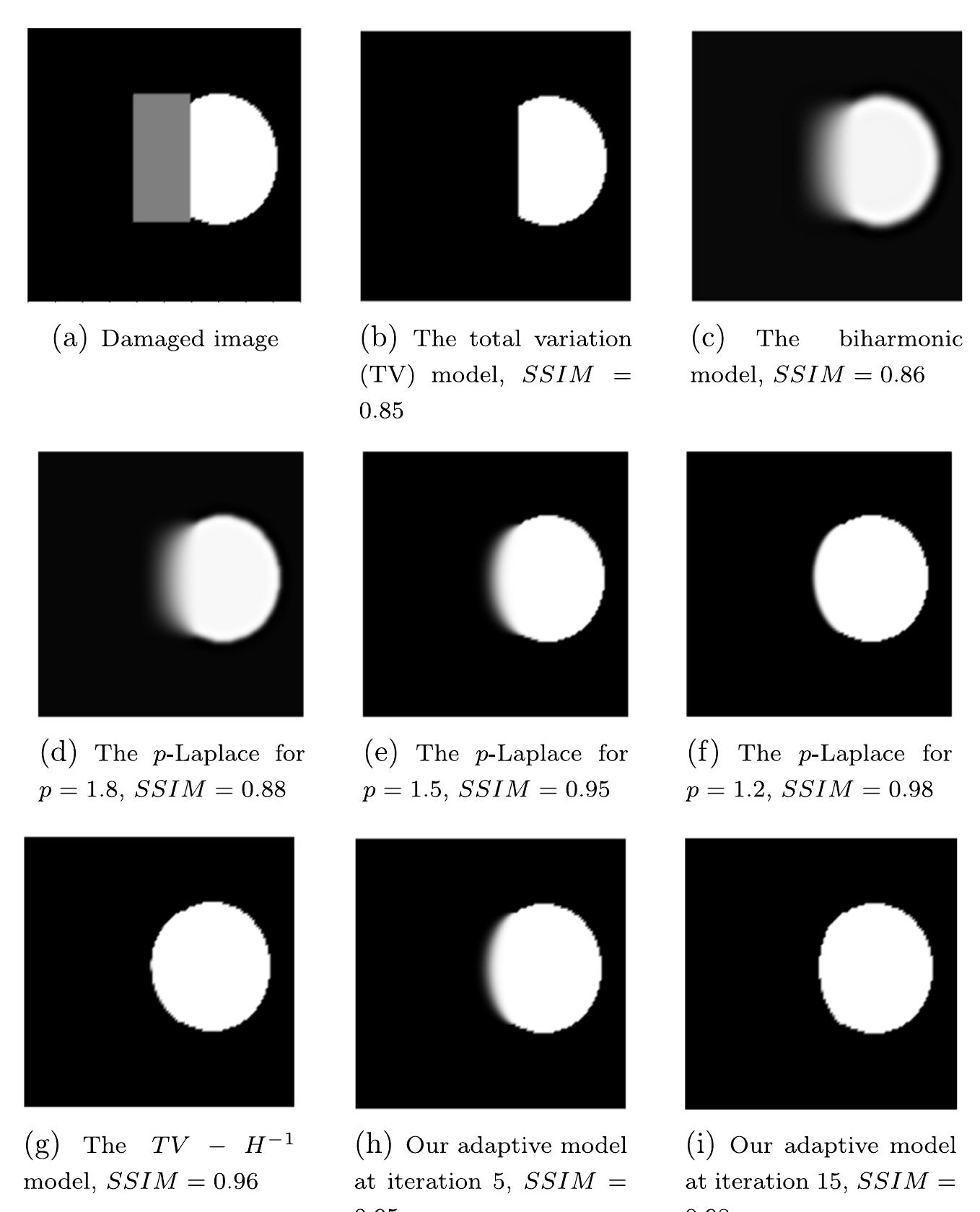 Figure 1 - from High-order anisotropic diffusion operators
