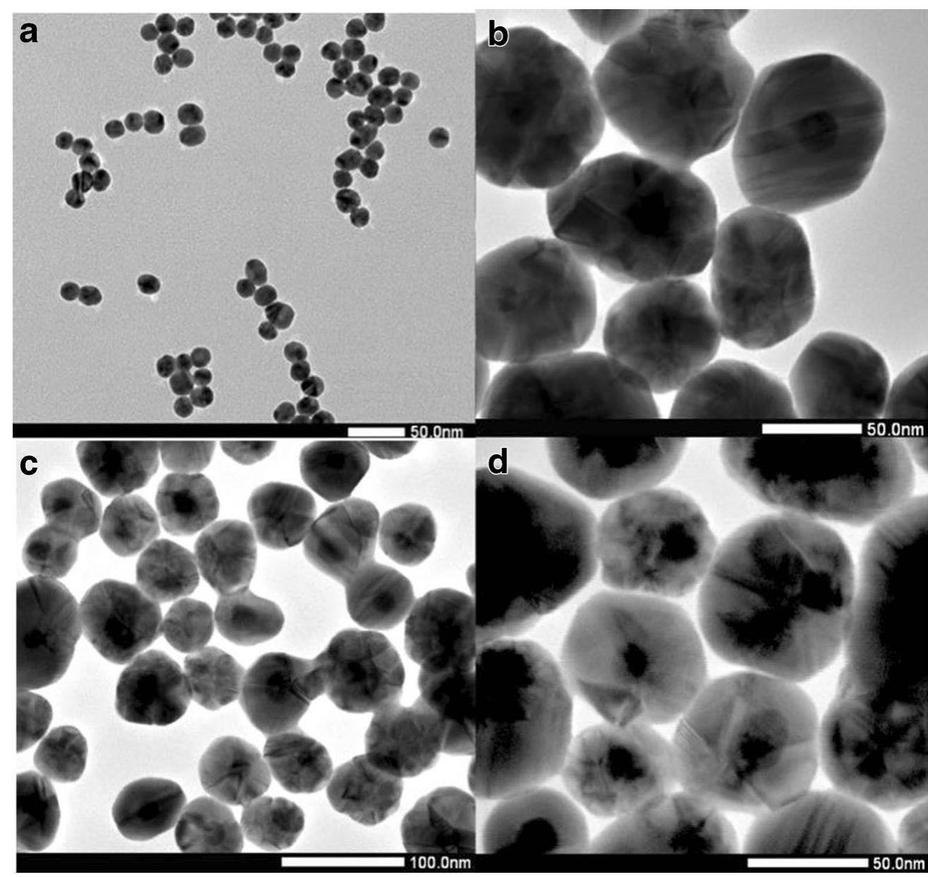 synthesis increased from 0.5 to 0.6 and 0.9 mL (Fig. 2). The size of Au@Ag as affected by the amount of Au colloid used during the synthesis of the bimetallic nanoparticles was thoroughly discussed in our previous study (Pei et al. 2014; Pei et al. 2015). As shown in Fig. 3, the use of 90 + 5 nm Au@Ag as SERS substrate led to the highes Raman intensities for Sudan I-IV, particularly at a low con- centration level like 0.1 mg/L. Therefore, 90 + 5 nm Au@Ag colloid was selected as the SERS substrate for al four Sudan dyes in the later experiments.   The average diameters of the resulted bimetallic nanoparti- cles were decreased from 90 + 5 to 73 + 5 and 64 + 4 nm with the amount of Au colloid (20 + 2 nm) used for AuU@Ag 