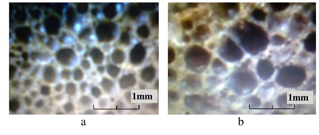Images of cross section of the samples 1 — sample 1, heated